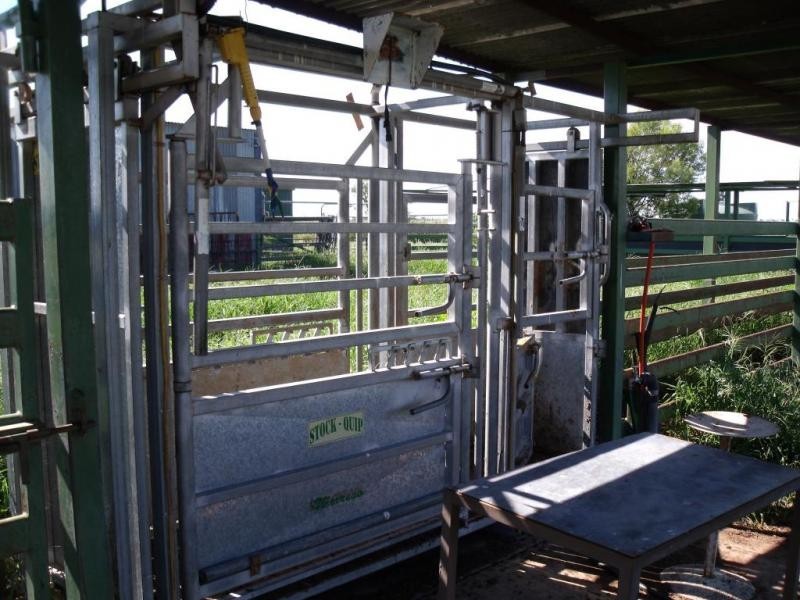 Goondiwindi QLD 4390