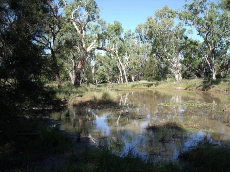 Goondiwindi QLD 4390