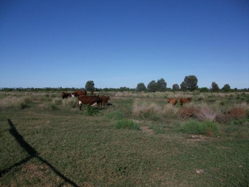 Goondiwindi QLD 4390