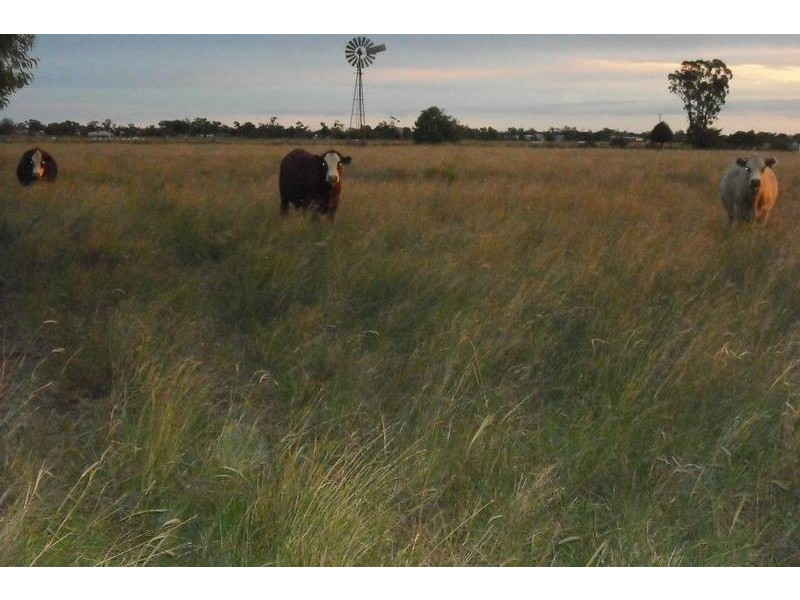 Goondiwindi QLD 4390