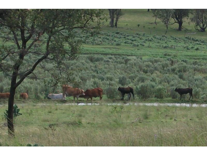 988 Pilton Valley Rd, Upper Pilton QLD 4361