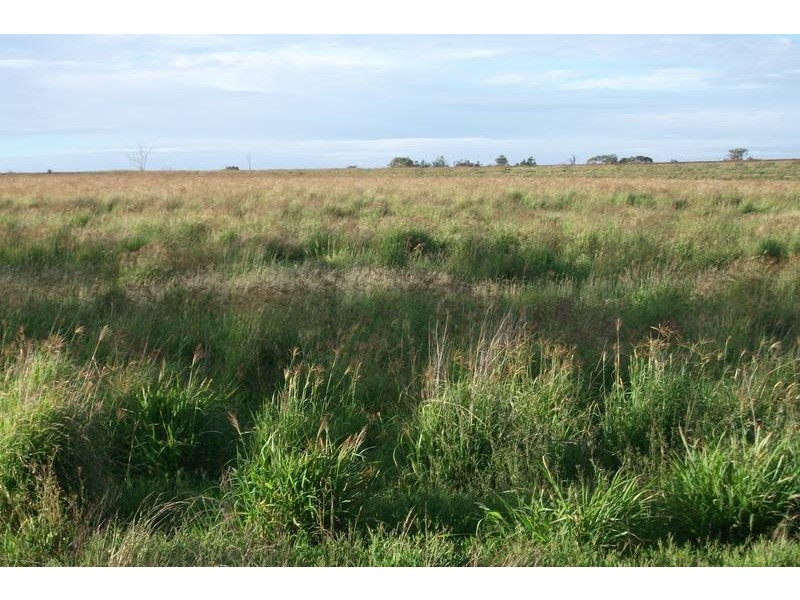 988 Pilton Valley Rd, Upper Pilton QLD 4361