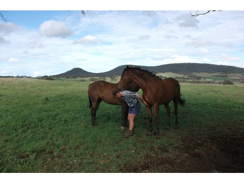 988 Pilton Valley Rd, Upper Pilton QLD 4361