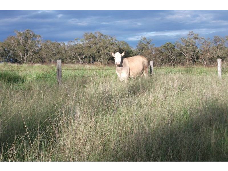 988 Pilton Valley Rd, Upper Pilton QLD 4361