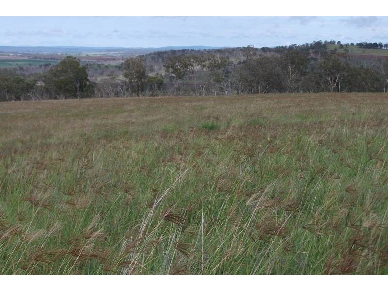 988 Pilton Valley Rd, Upper Pilton QLD 4361