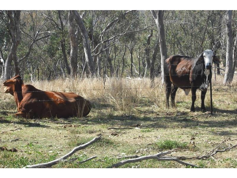 988 Pilton Valley Rd, Upper Pilton QLD 4361