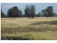 * Scudamores Rd, Goondiwindi QLD 4390