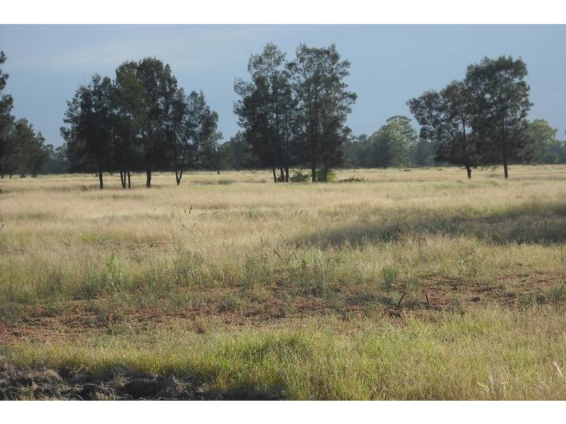 * Scudamores Rd, Goondiwindi QLD 4390