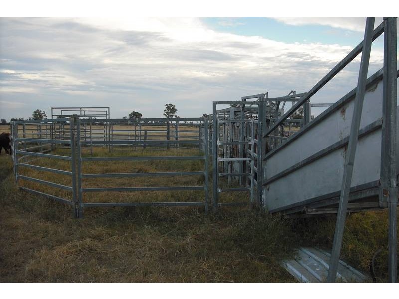 * Scudamores Rd, Goondiwindi QLD 4390
