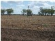 * Scudamores Rd, Goondiwindi QLD 4390