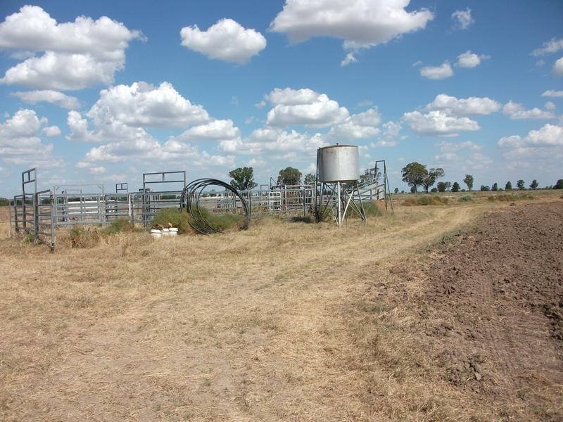 * Scudamores Rd, Goondiwindi QLD 4390