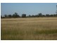 * Scudamores Rd, Goondiwindi QLD 4390