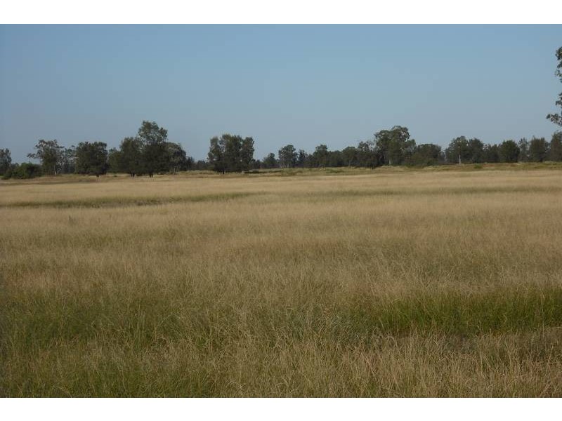 * Scudamores Rd, Goondiwindi QLD 4390