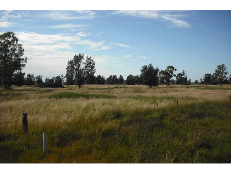 * Scudamores Rd, Goondiwindi QLD 4390