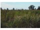 * Scudamores Rd, Goondiwindi QLD 4390