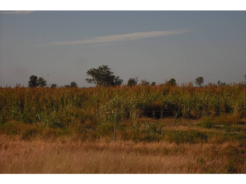 * Scudamores Rd, Goondiwindi QLD 4390