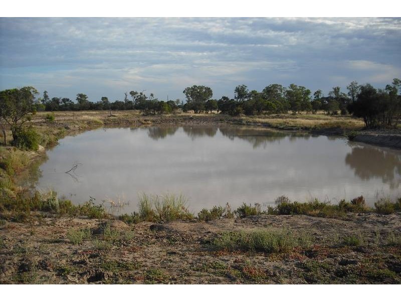 * Scudamores Rd, Goondiwindi QLD 4390