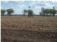 * Scudamores Rd, Goondiwindi QLD 4390