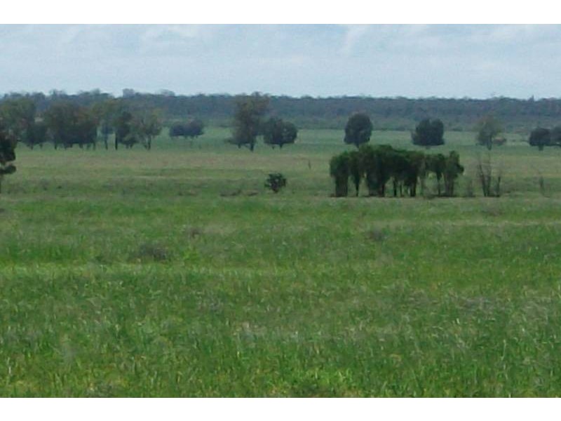 1931 Southwood Rd, Goondiwindi QLD 4390