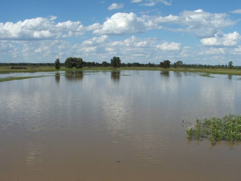 1931 Southwood Rd, Goondiwindi QLD 4390