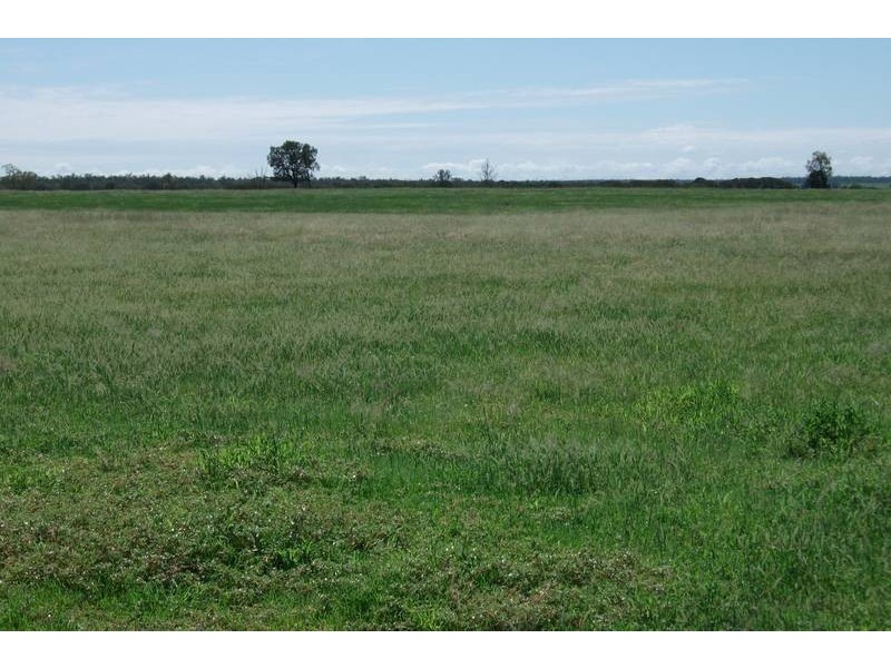 1931 Southwood Rd, Goondiwindi QLD 4390