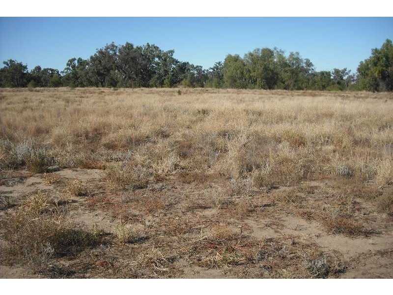 2 Henderson Rd, Goondiwindi QLD 4390