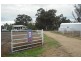 * Texas – Yelarbon Rd, Goondiwindi QLD 4390