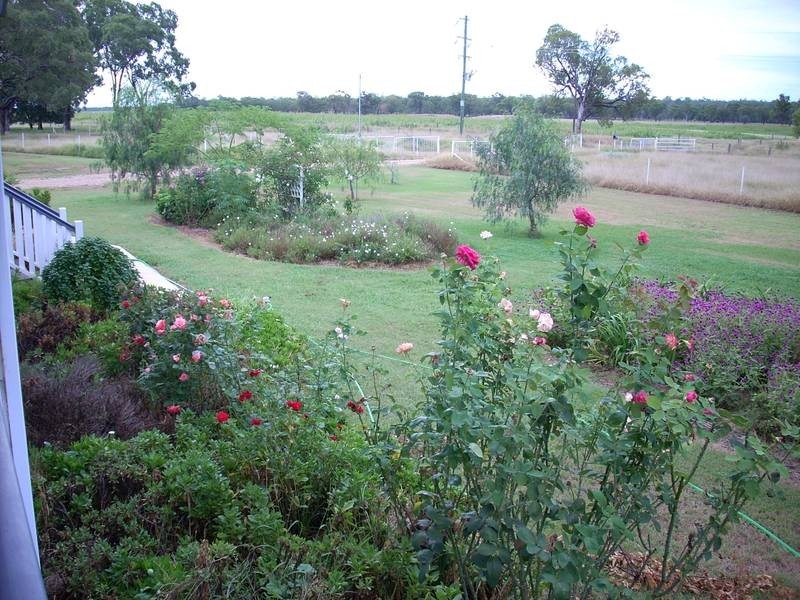 * Texas – Yelarbon Rd, Goondiwindi QLD 4390