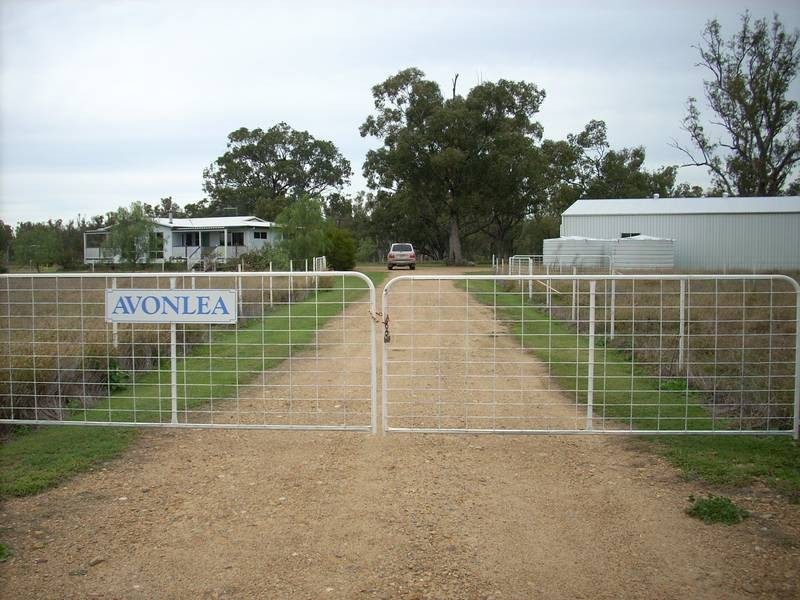 * Texas – Yelarbon Rd, Goondiwindi QLD 4390