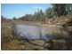 * Texas – Yelarbon Rd, Goondiwindi QLD 4390