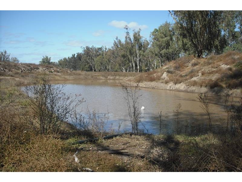 * Texas – Yelarbon Rd, Goondiwindi QLD 4390
