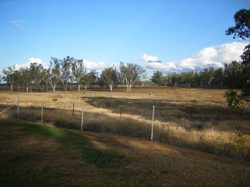 * Texas – Yelarbon Rd, Goondiwindi QLD 4390
