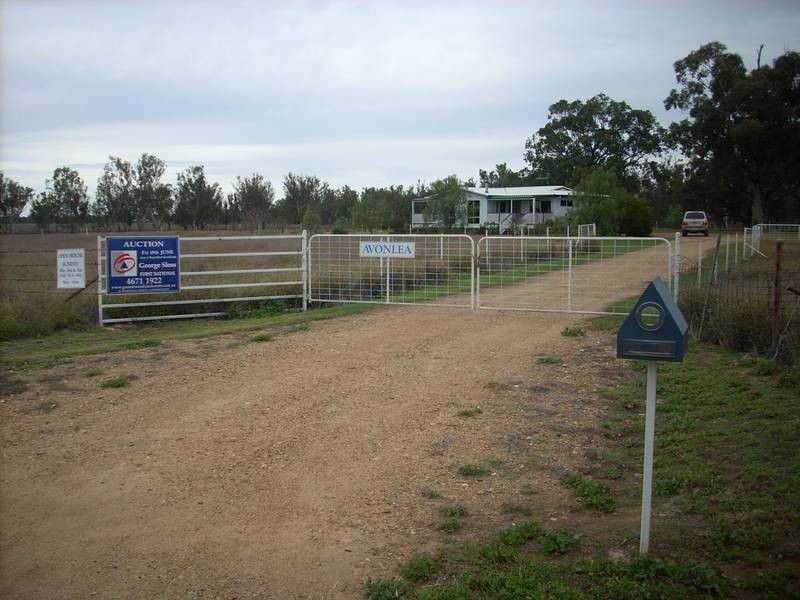 * Texas – Yelarbon Rd, Goondiwindi QLD 4390