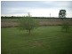 * Texas – Yelarbon Rd, Goondiwindi QLD 4390
