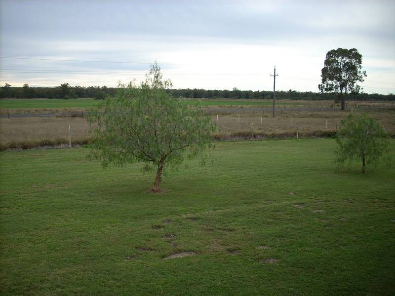 * Texas – Yelarbon Rd, Goondiwindi QLD 4390