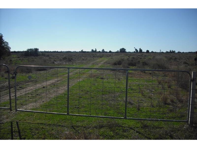 * Tenomby Rd, Goondiwindi QLD 4390