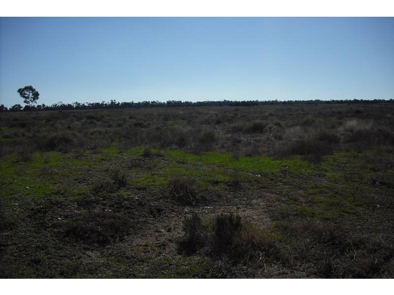 * Tenomby Rd, Goondiwindi QLD 4390