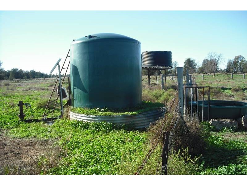 * Tenomby Rd, Goondiwindi QLD 4390