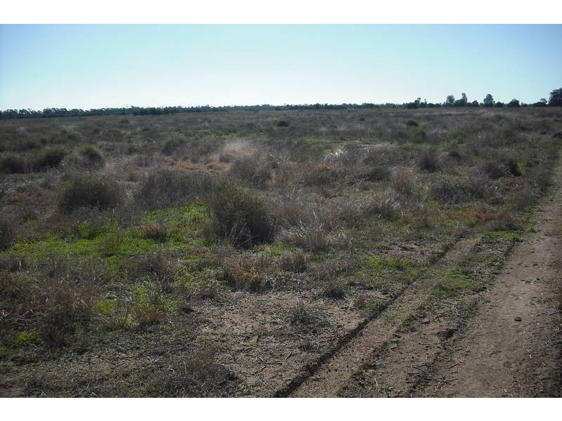 * Tenomby Rd, Goondiwindi QLD 4390