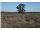 * Tenomby Rd, Goondiwindi QLD 4390