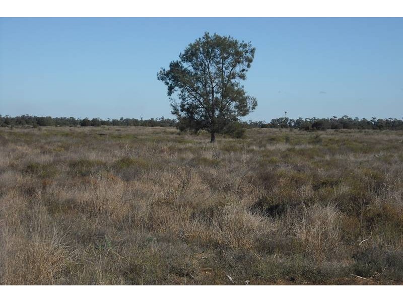 * Tenomby Rd, Goondiwindi QLD 4390