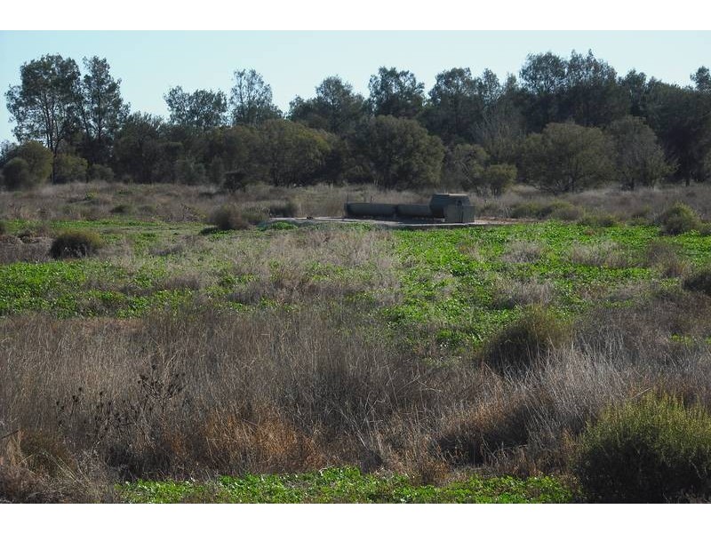 * Tenomby Rd, Goondiwindi QLD 4390