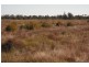 * Tenomby Rd, Goondiwindi QLD 4390