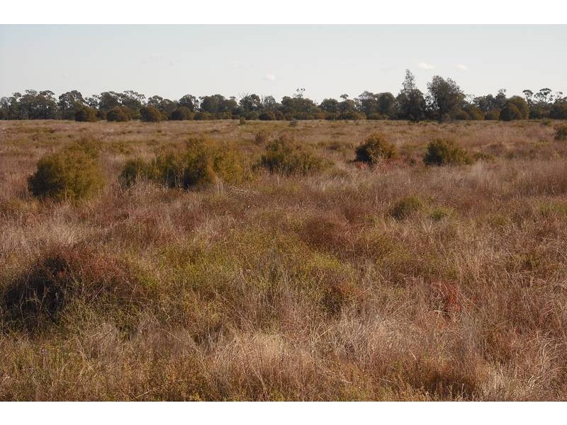 * Tenomby Rd, Goondiwindi QLD 4390