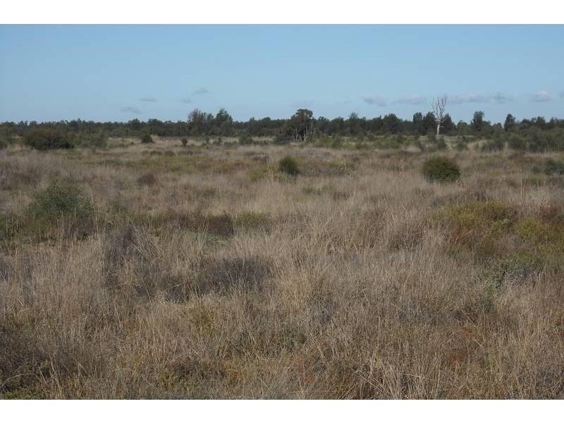 * Tenomby Rd, Goondiwindi QLD 4390
