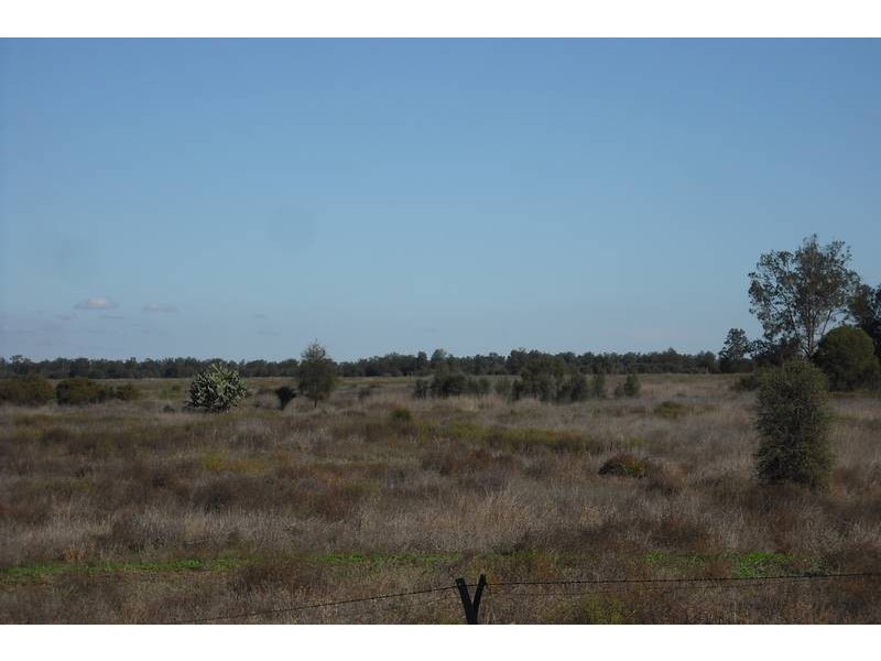 * Tenomby Rd, Goondiwindi QLD 4390
