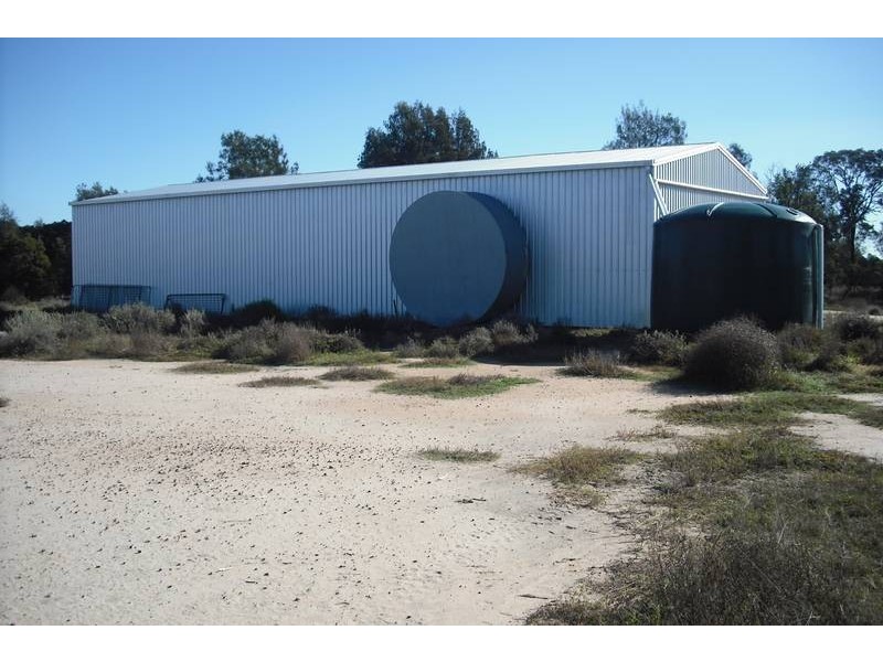 * Tenomby Rd, Goondiwindi QLD 4390