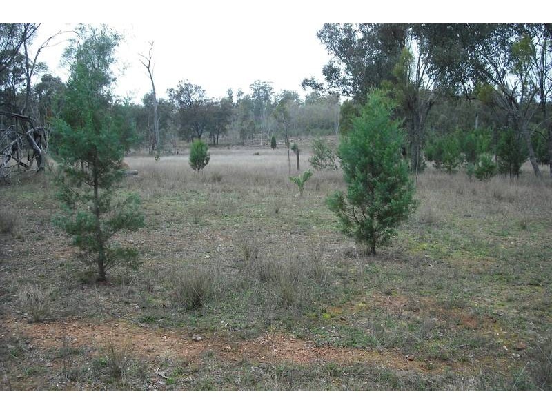 Goondiwindi QLD 4390