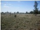 Lot 1,  Boomi Road, Goondiwindi QLD 4390