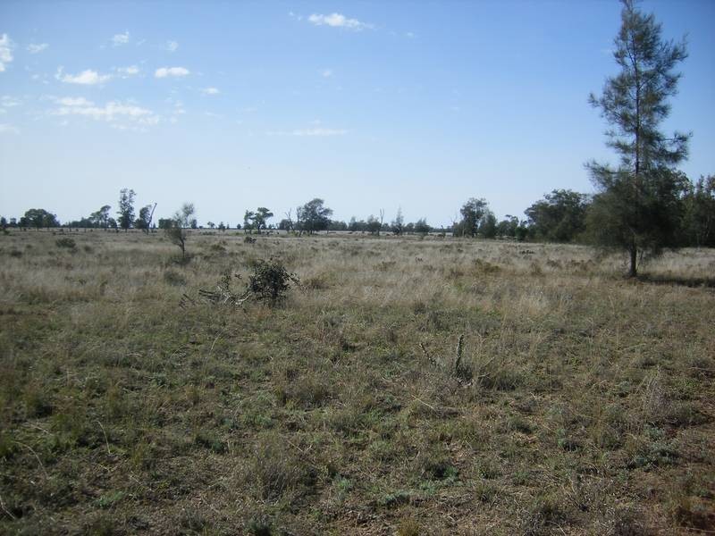 Lot 1,  Boomi Road, Goondiwindi QLD 4390